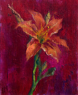 A vibrant painting of a single lily flower depicted against a rich background blending tones of red and magenta