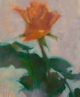 Orange rose painted with oil on canvas