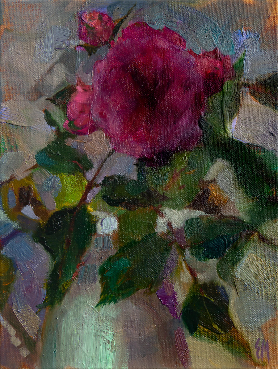 Rose From the Garden