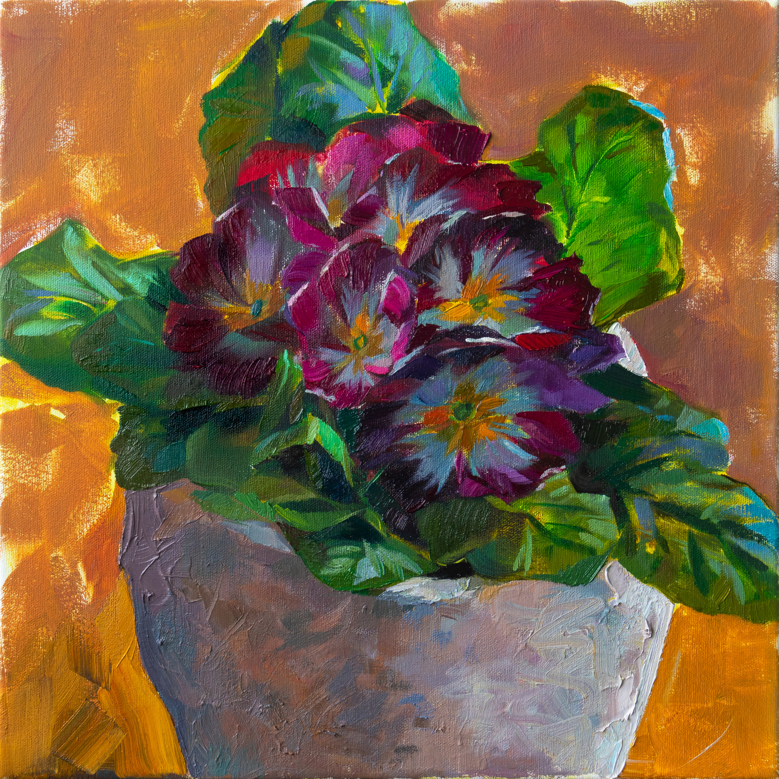 Oil painting of primula flowers in a pot on an orange background