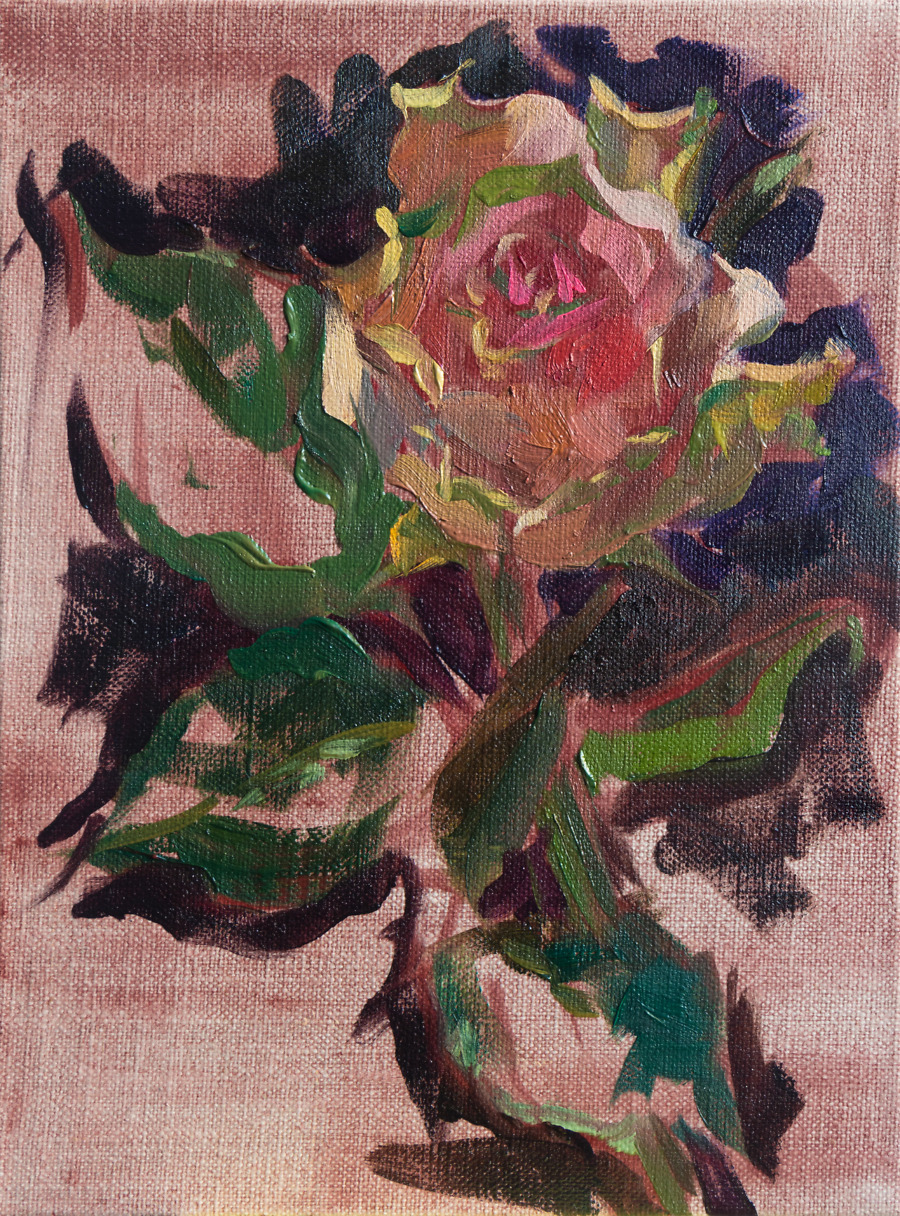 Sketch of a Rose