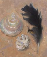 Still life with a sea shell, a coral and a crow's feather painted with oil