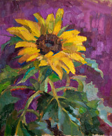 Bright sunflower on a dark magenta background, painted with oil on canvas