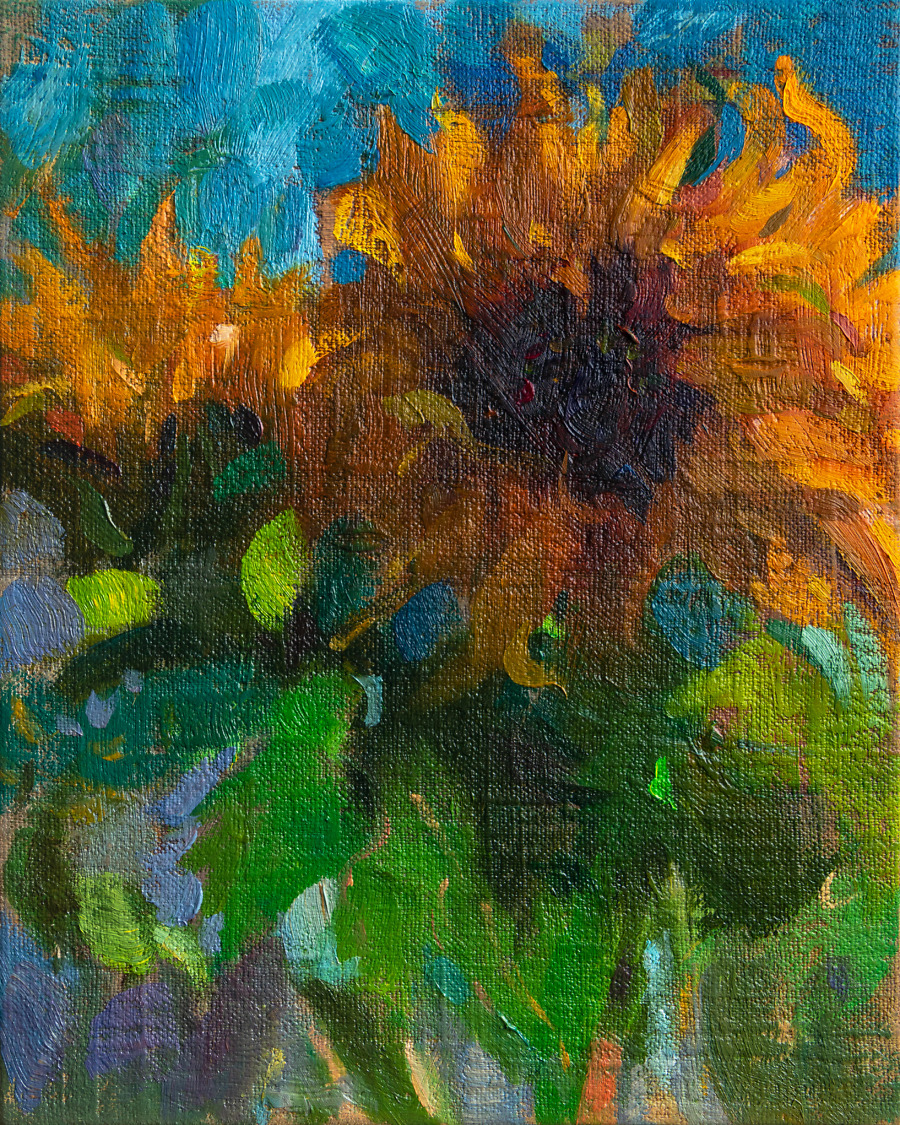 Sun’s Embrace