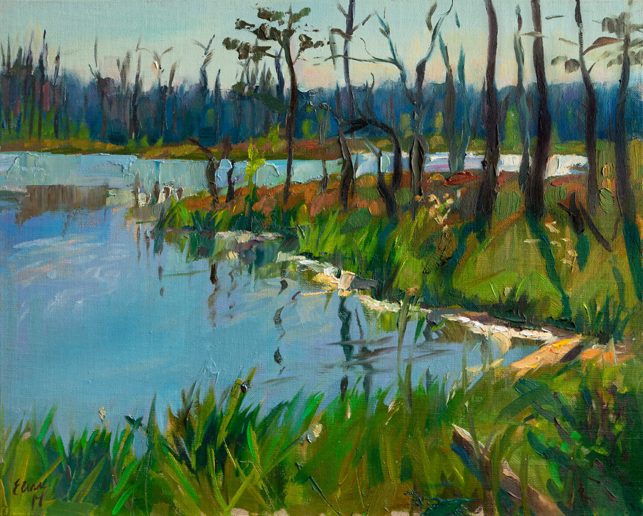 Enigmatic Marshlands