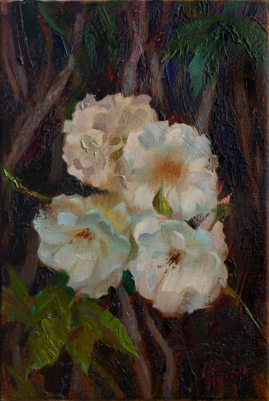 White Roses
