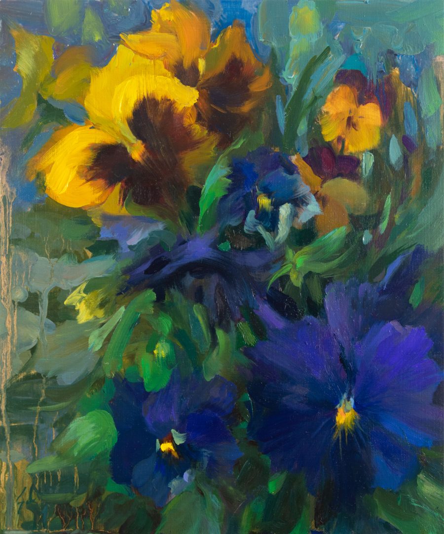 Wild Pansies